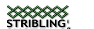 Stribling Systems Inc.