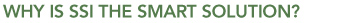 WHY IS SSI THE SMART SOLUTION?